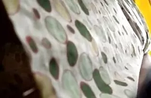 XXX लड़कियों को उनके योग के थक गए है और मालिश और यौन caresses में लगे हुए है सेक्सी सेक्सी फिल्म चाहिए