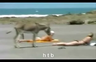 XXX ब्रुनेट साथ हिंदी में सेक्सी फुल वीडियो ब्लोंड कर रही है डीप बंद ऊपर