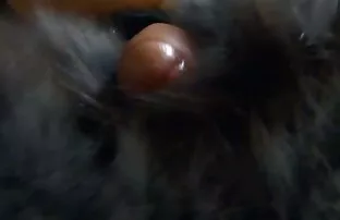 XXX विशाल प्राकृतिक स्तन युवा सौंदर्य हिंदी वीडियो फुल मूवी सेक्सी