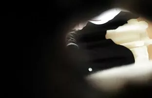 XXX एक भावुक घोड़े मीठा हिंदी सेक्सी फुल मूवी युवा के एक नम छेद मिल गया है